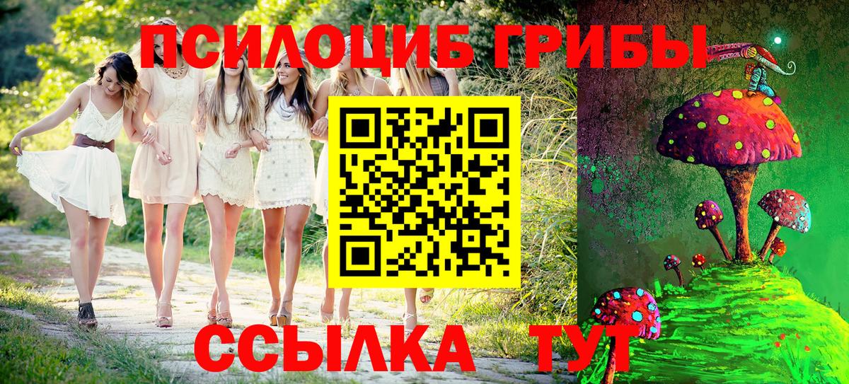 Галлюциногенные грибы Cubensis  Вход с VPN  Кузнецк  Псилоцибиновые грибы Psilocybine cubensis 